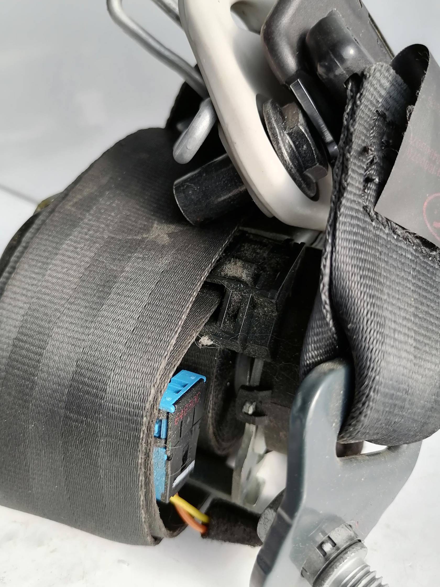 Cintura di sicurezza ant. sx.